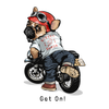 Street Demon Dog Rider DTF Transfer
