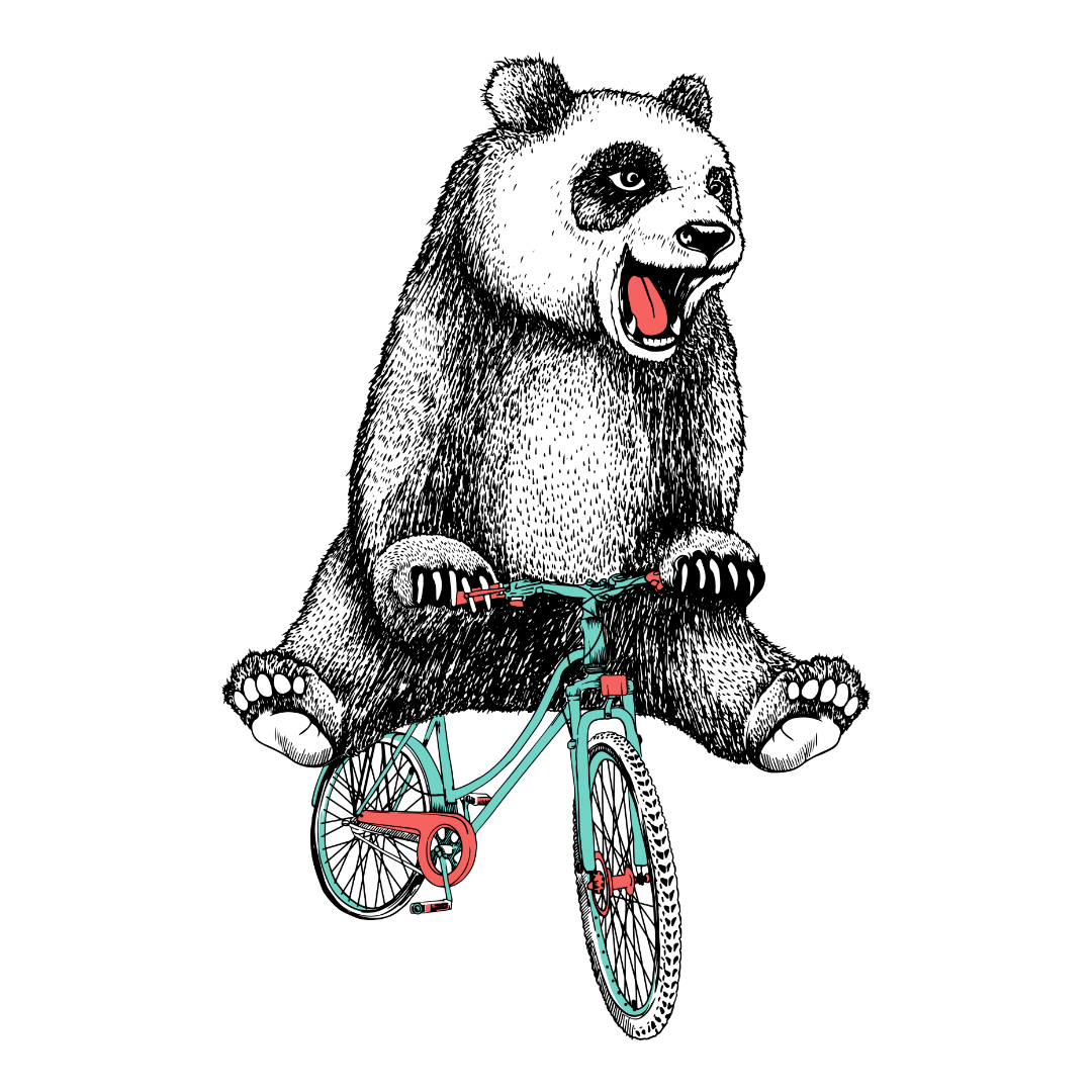 Panda Bike Rider DTF Transfer
